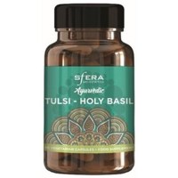 Tulsi Holy Basil4